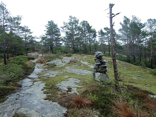 Oppe ved flatere terreng ble det mer fjell og stien er herfra vardet godt med småvarder opp til Håvarden