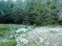 Kjell51_20181208_5c0be71797381.jpg