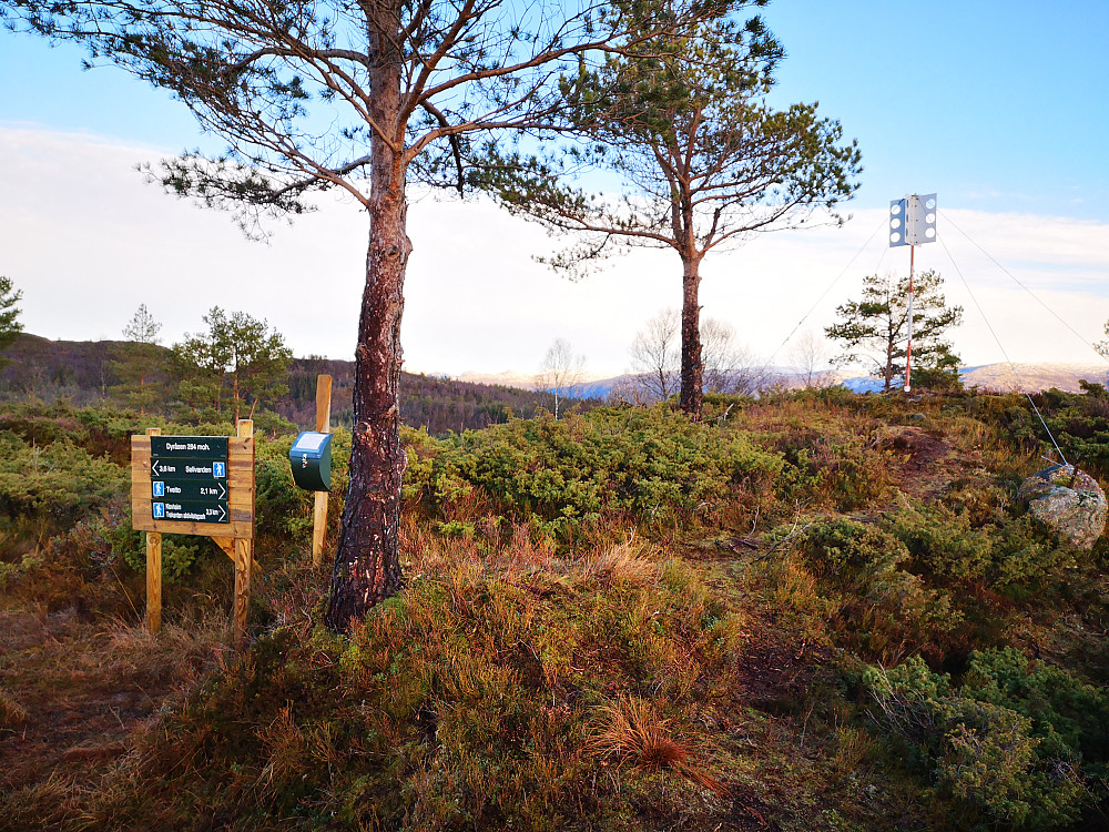 Dyråsen 284