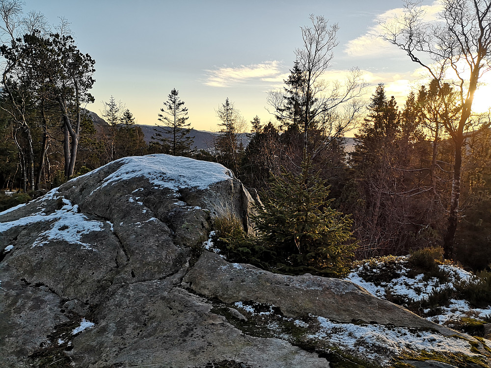 Torrefjellet (363)