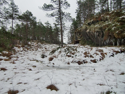 Øverst i Budalen, her tok jeg av fra stien retning Klubben