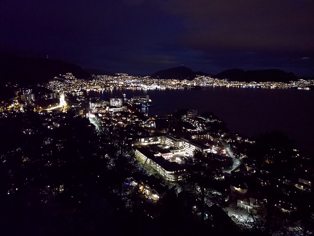 Bergen sett fra Furekammen