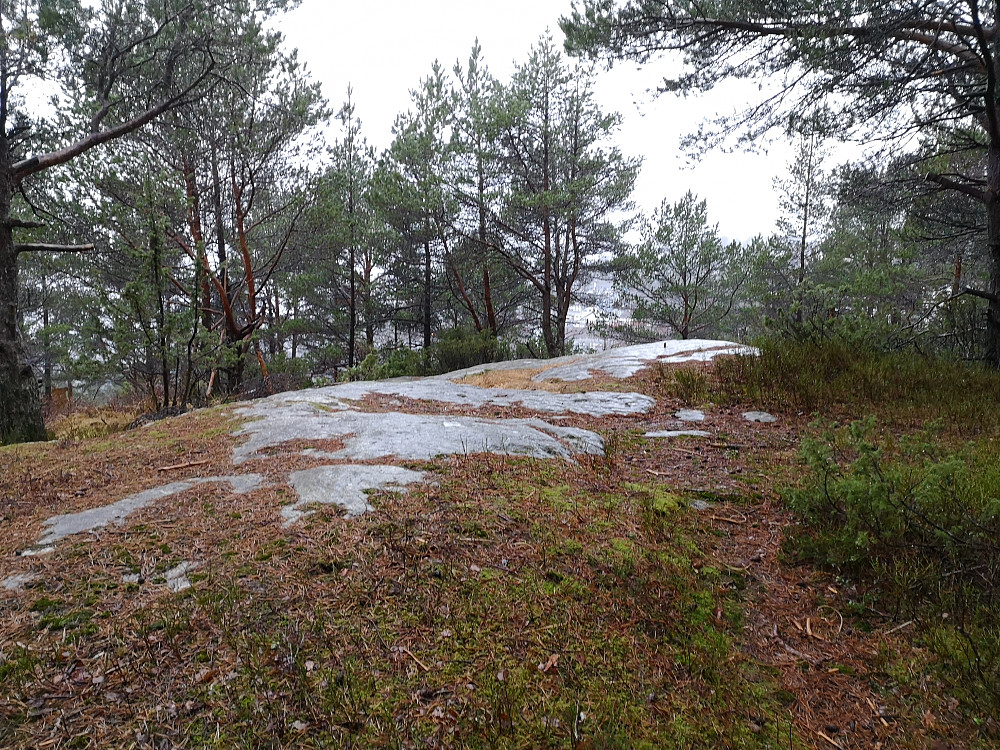 Toppen på Stornipa med den beste utsikten