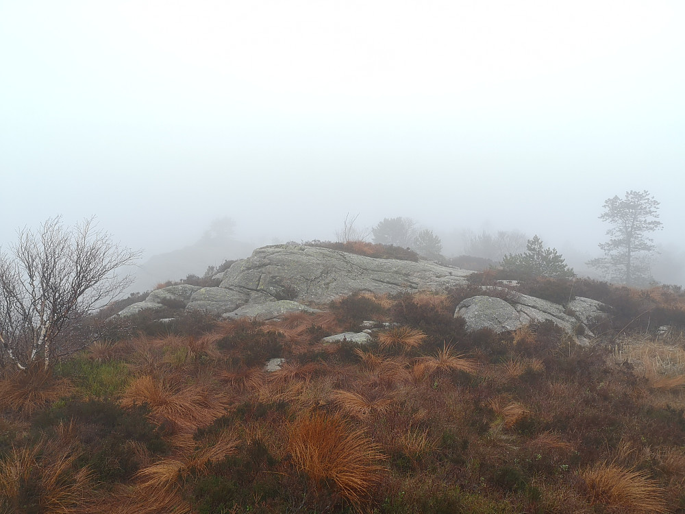 Rognåsen i tåke i dag. 