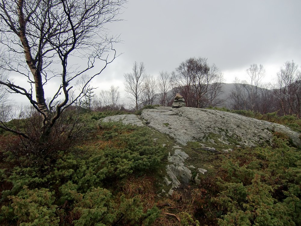 Toppen på Toppefjellet, begrenset utsikt på selve toppunktet. 