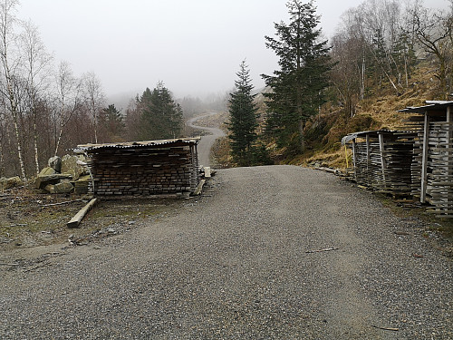 Ny flott skogsvei oppover mot Geitanuken