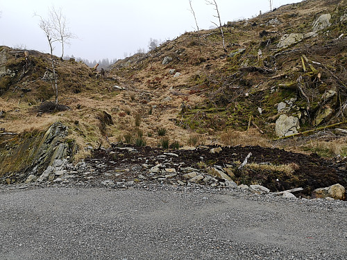 Her tok jeg av fra skogsveien, antydning til tråkk.