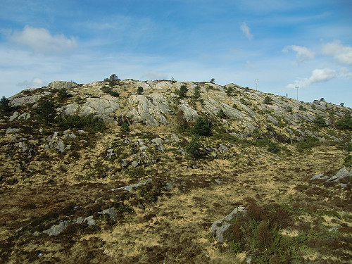Langedalsfjellet