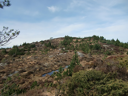 Toppen på Ulvagrana i sikte