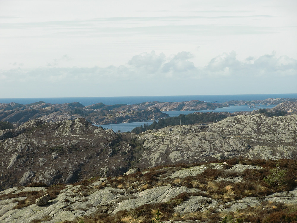Inn-zoomet bilde mot vest