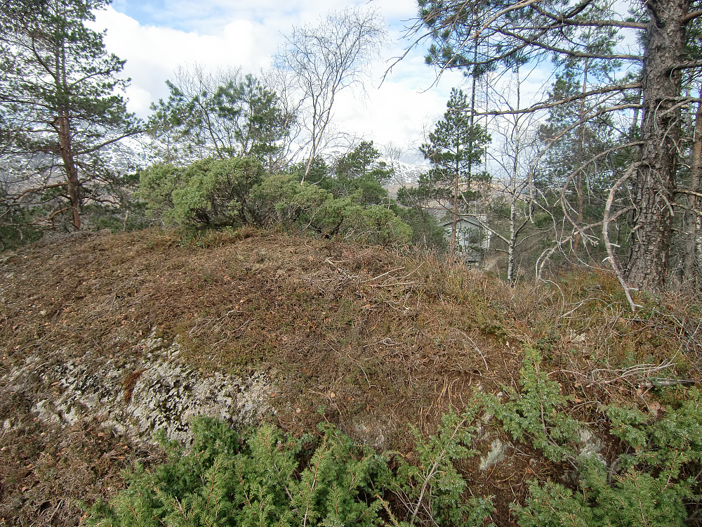 Toppunktet på Einaråsen med litt av masten bak i bildet. 