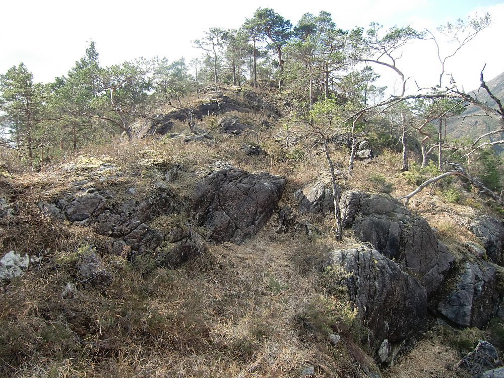 Oppover på ryggen fra startområdet