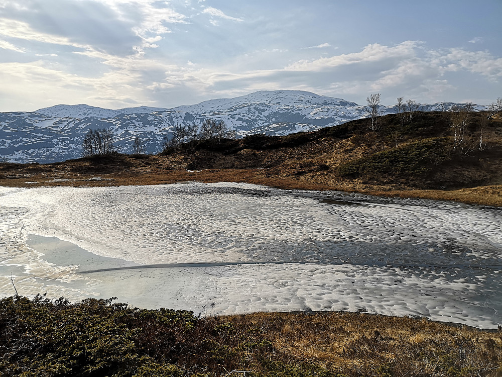 Siste rest av vinter på Haukåsfjellet. Vinteren vil vare litt til på Tveitakvitingen.