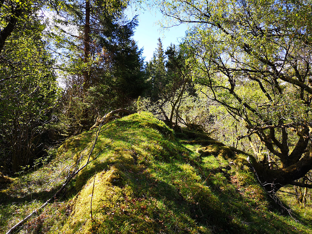 Toppen på Liahedda