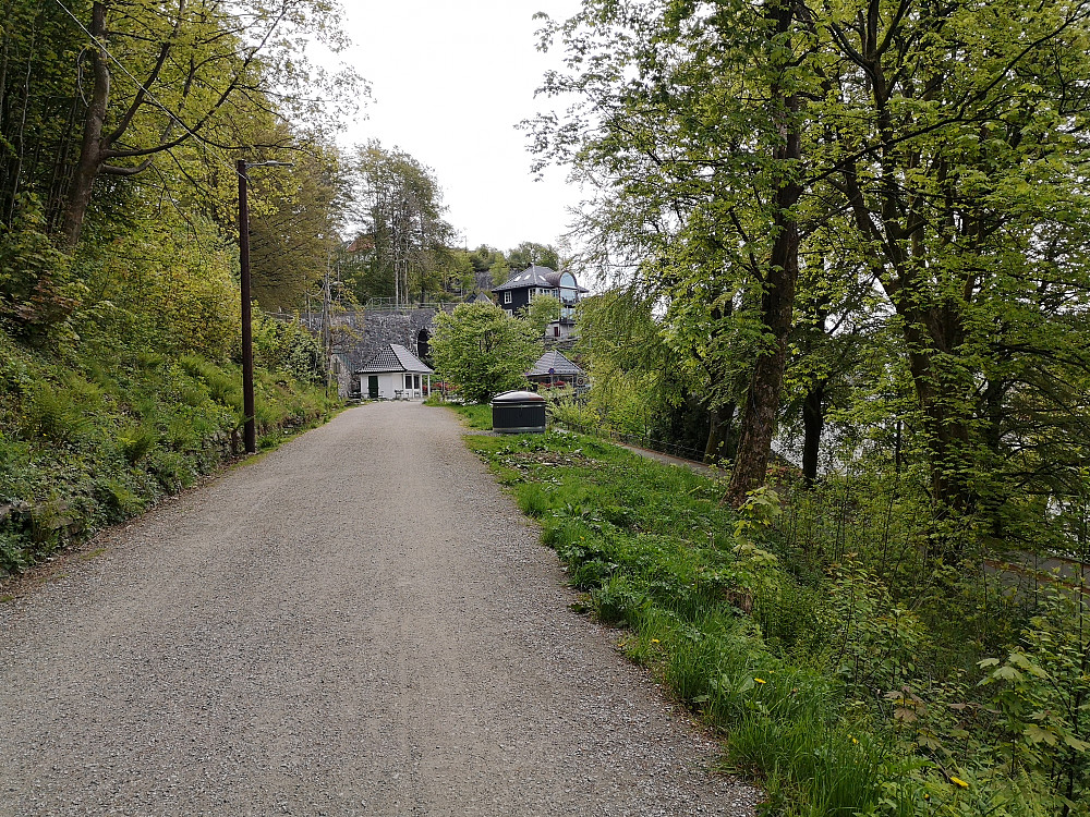 Fjellveien