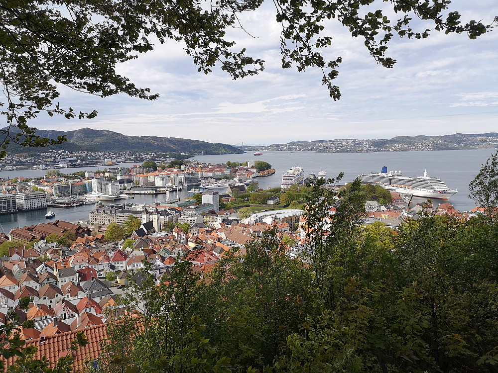 Utsikt fra Fjellveien