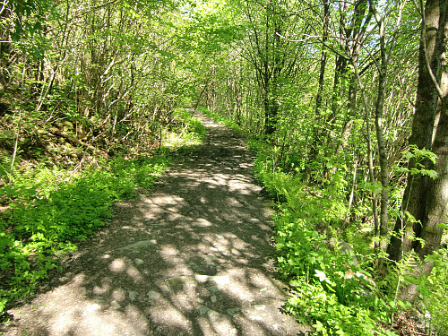 Første del av traktorveien