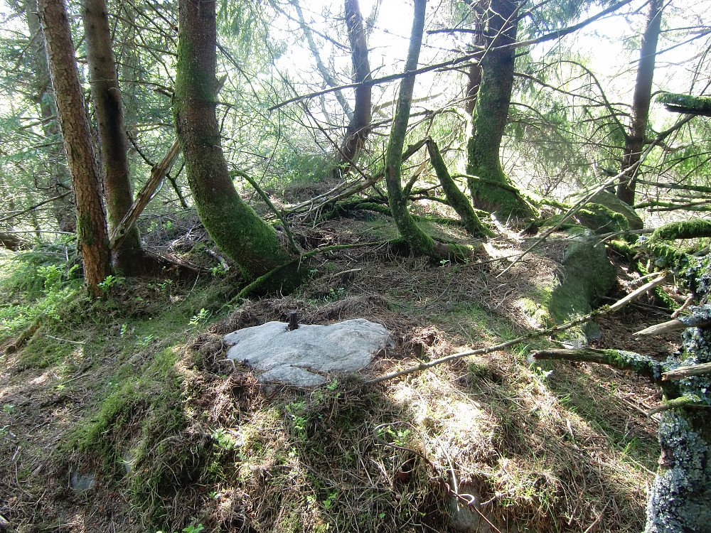 Rengjort fjell rundt bolten