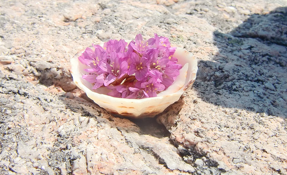 En som har pyntet med blomster i dag. 