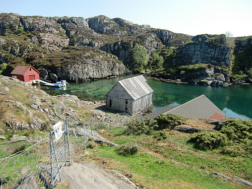 Innerst i Kungvika