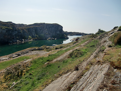 Kungvika