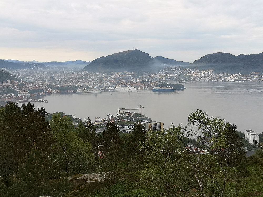 Bergen fra Ørneberget