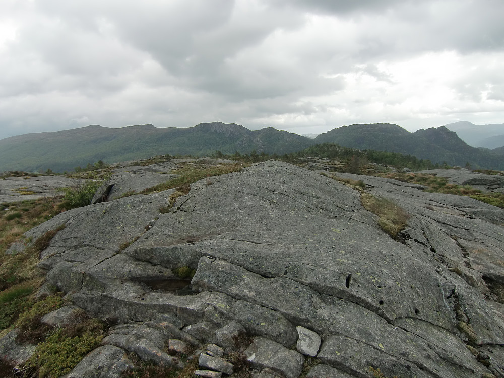 Høyeste punkt på Bogafjellet, ingen markering men en mindre varde på en knaus like ved. 