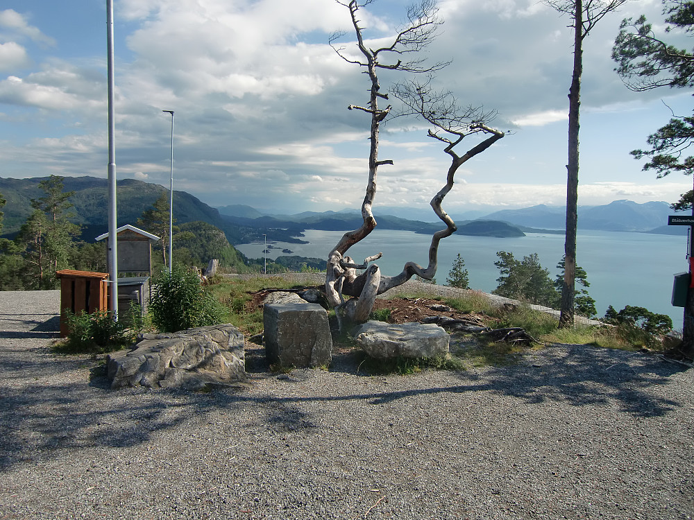 Blåbærhaugen