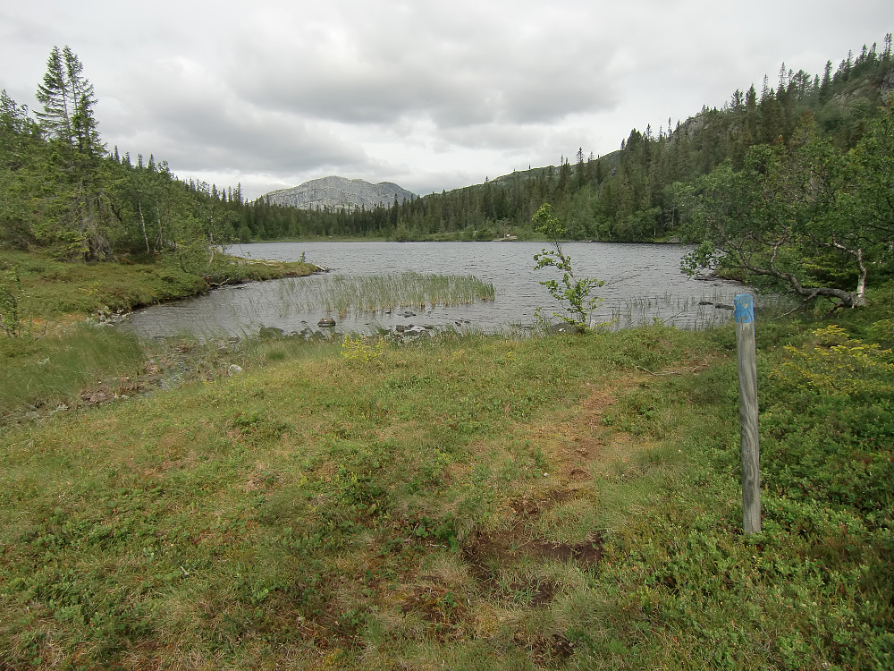 Åråhøvdtjønn med fjellet Bonsnos 1304 i bakgrunnen. 