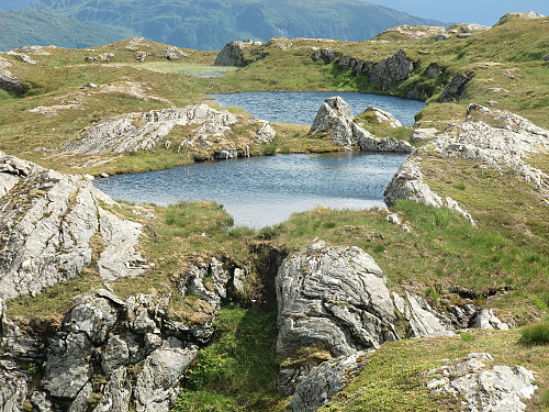 Naturens badestamper på Skarvanipa. 