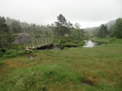 Over Kupelven på solid bro, faktisk litt av gangbroen som ble brukt ved støping av tårnene på Hardangerbroen