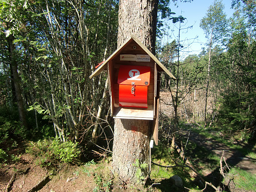 På Toftåsen