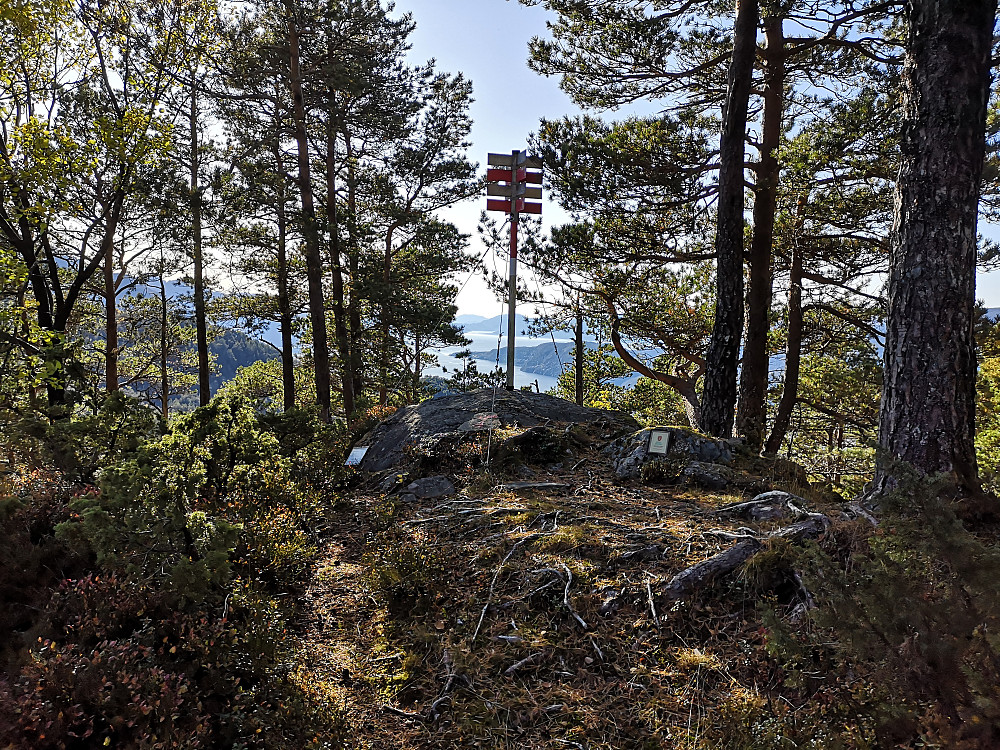 Toppen på Jonahornet, begrenset utsikt.