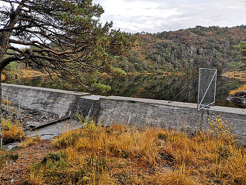 Passerte demningen til Gamsebotstjørna på vei opp til Språkefjellet. 