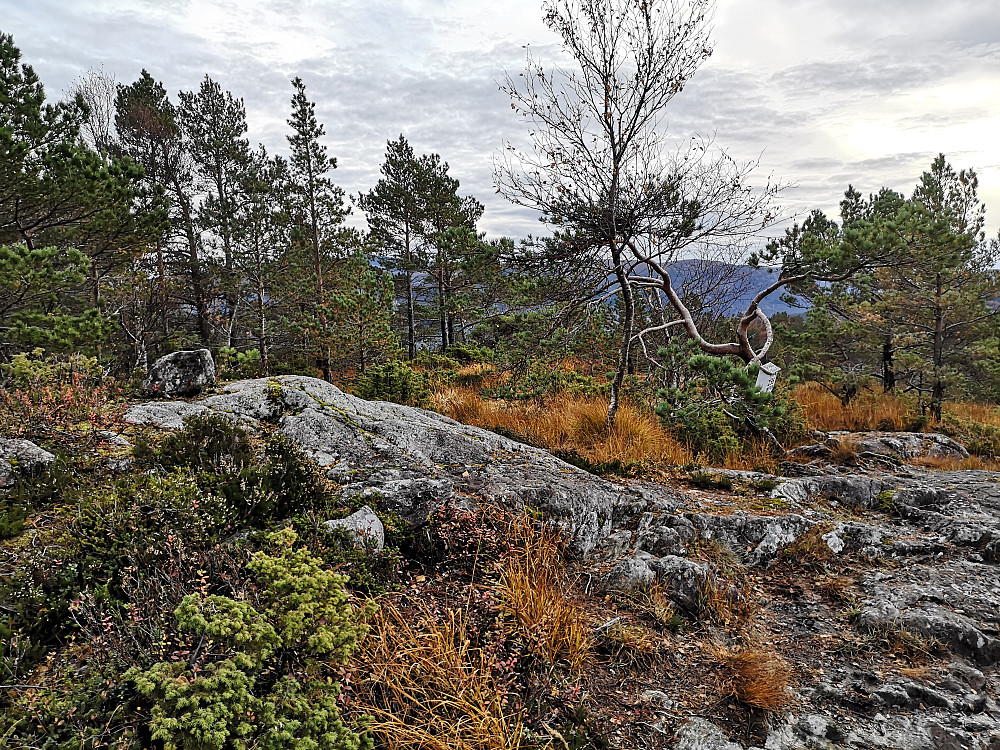 Toppen på Språkefjellet