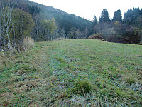 Kjell51_20191028_5db6fc749d0e5.jpg