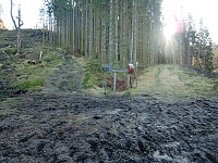Kjell51_20191103_5dbf3a6fa1632.jpg