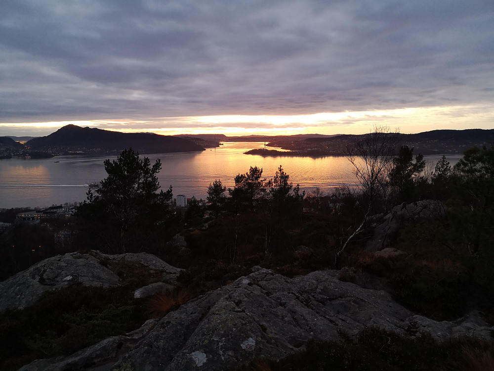 Rognåsen