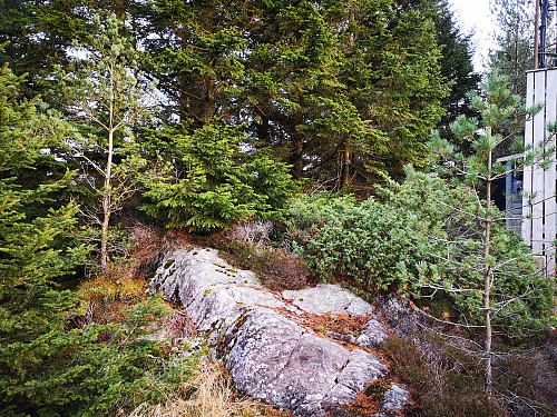 Toppen på Fureberget