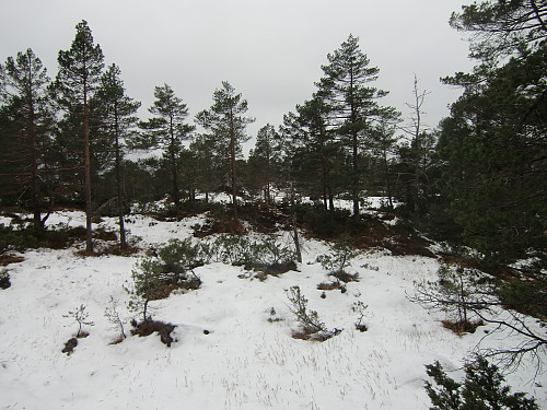 Siste etappe mot toppen