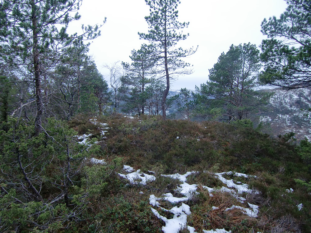 Toppen på Snøyo