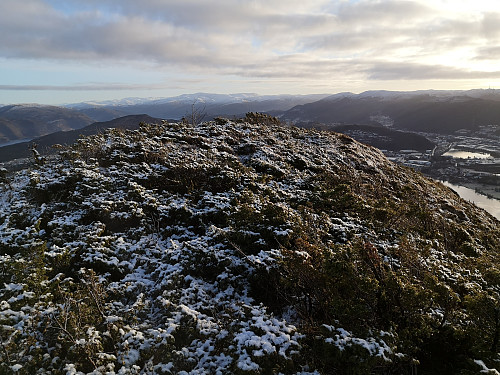 Turen opp på Håkeberget var ikke så mye å skryte over, en lav kolle dekket med brake. 