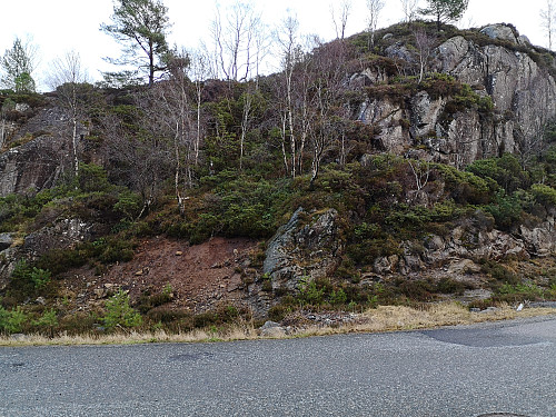 Rotet meg opp her