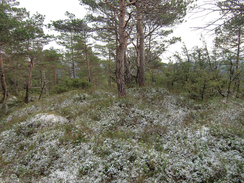 Toppunkter på Storåsen