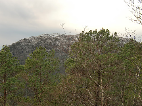Rødsfjellet fra Storåsen