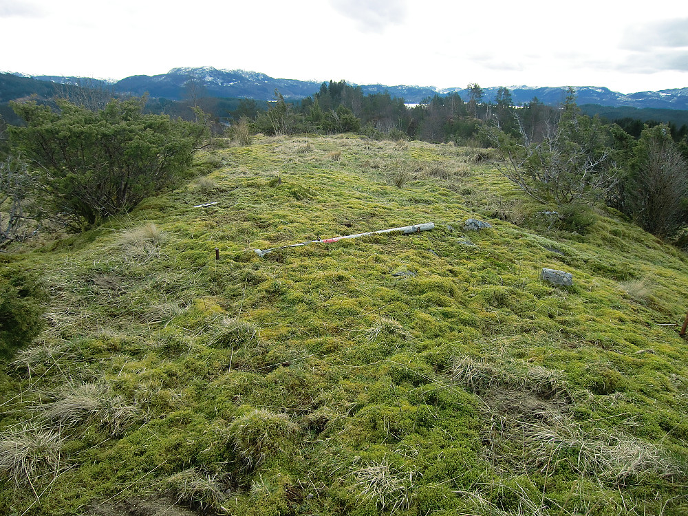 Toppen på Myråsen med rester etter et trig.punkt