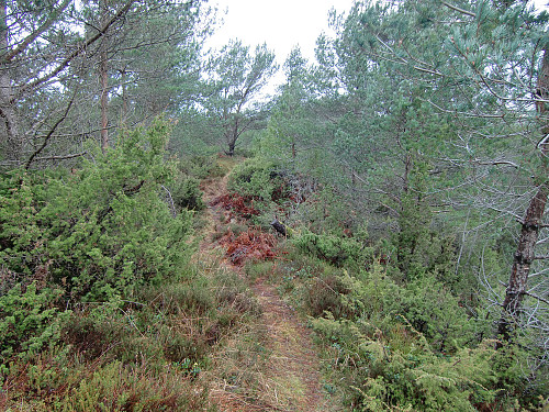 Videre nordvestover på ryggen til jeg kom ned til 2 bolighus og tilbake på vei til grendehuset. 