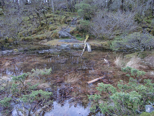 Ytre stien går over her, kom ikke over grunnet springflo.