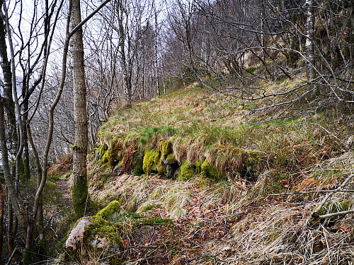 gammel dyrknings mark i en fjellhylle