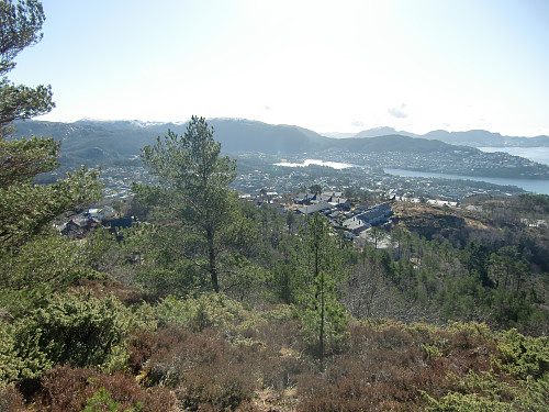 Utsikt fra Morvikavarde